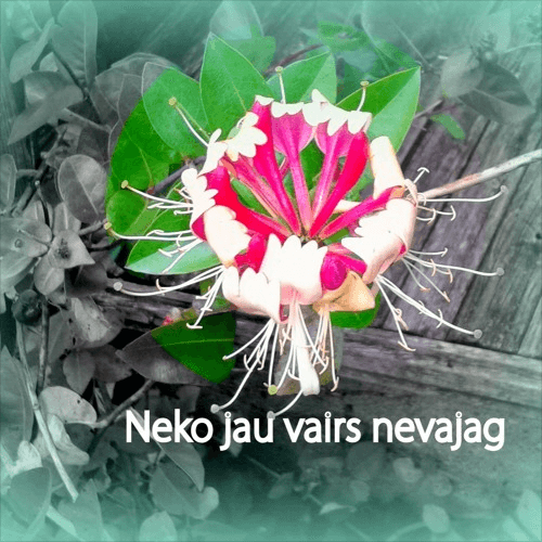 neko jau vairs nevajag maija lūsēna ernests austrums